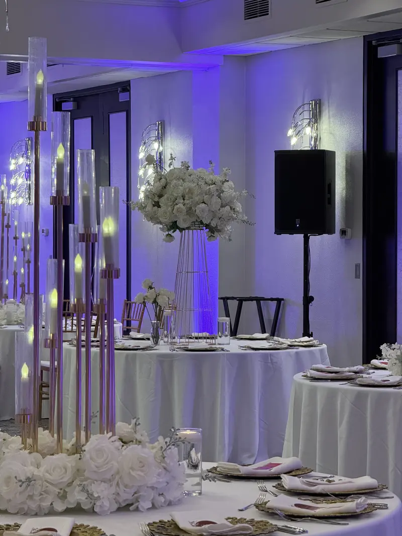 Wedding reception with LED pillars, speakers and moving head lights